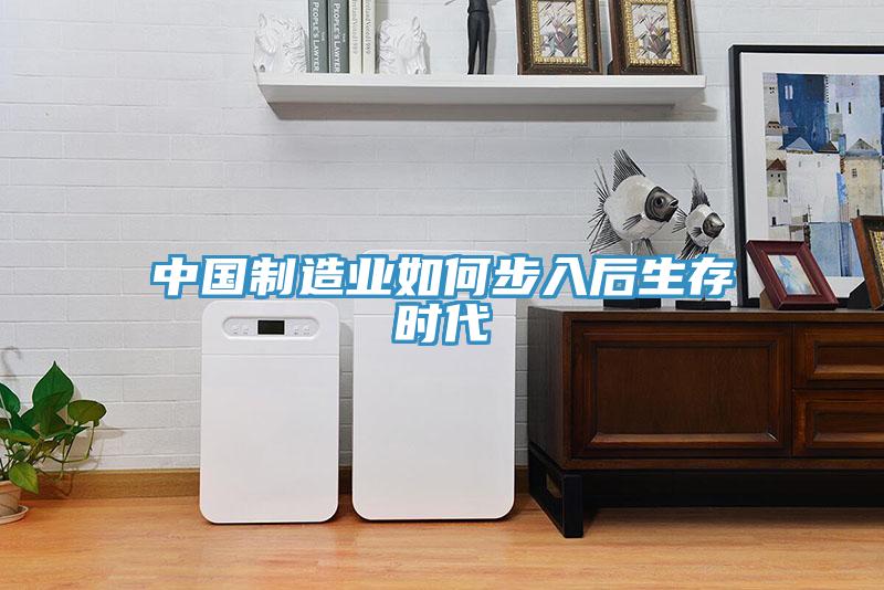 中國(guó)制造業(yè)如何步入后生存時(shí)代