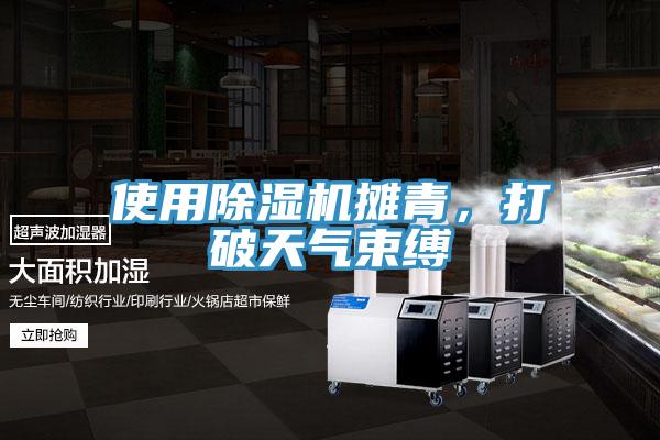 使用除濕機(jī)攤青，打破天氣束縛