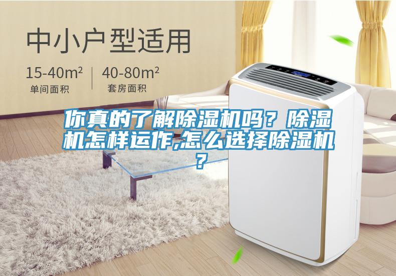 你真的了解除濕機(jī)嗎？除濕機(jī)怎樣運(yùn)作,怎么選擇除濕機(jī)？