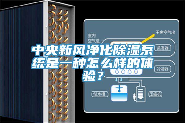 中央新風(fēng)凈化除濕系統(tǒng)是一種怎么樣的體驗？