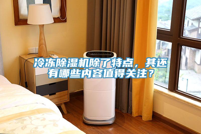 冷凍除濕機除了特點,其還有哪些內(nèi)容值得關(guān)注?