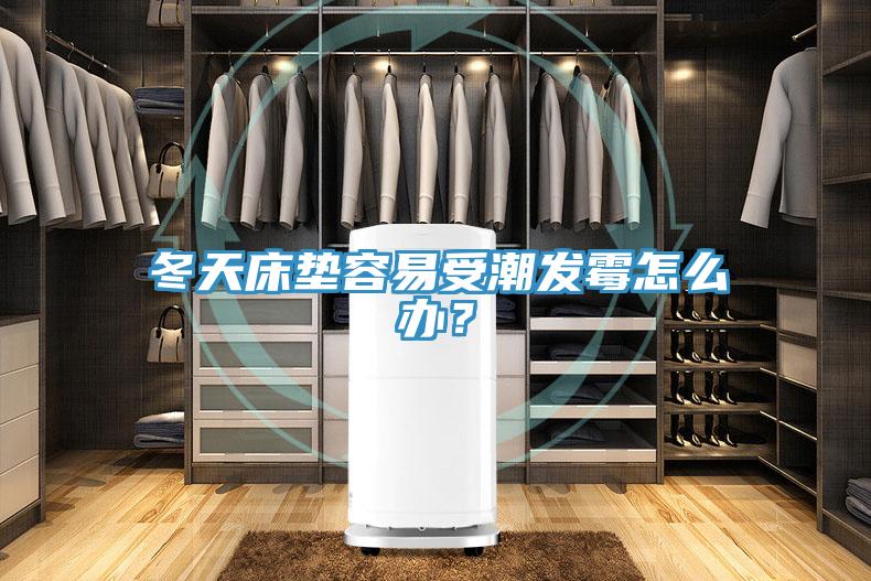 冬天床墊容易受潮發(fā)霉怎么辦？