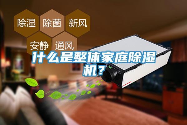 什么是整體家庭除濕機(jī)？