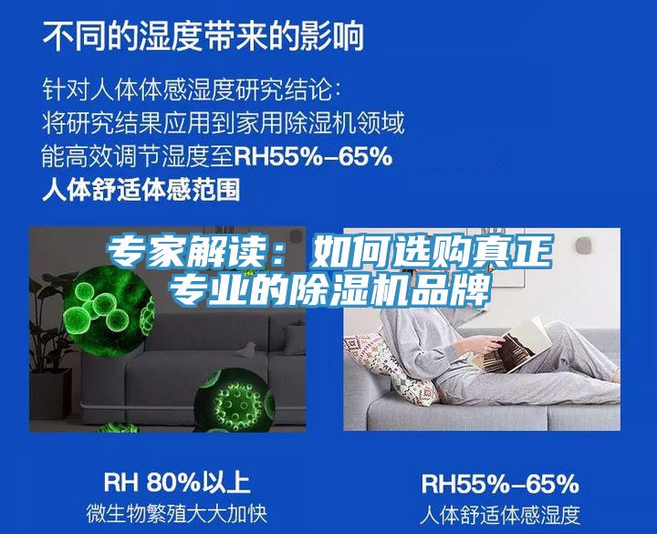 專(zhuān)家解讀：如何選購(gòu)真正專(zhuān)業(yè)的除濕機(jī)品牌