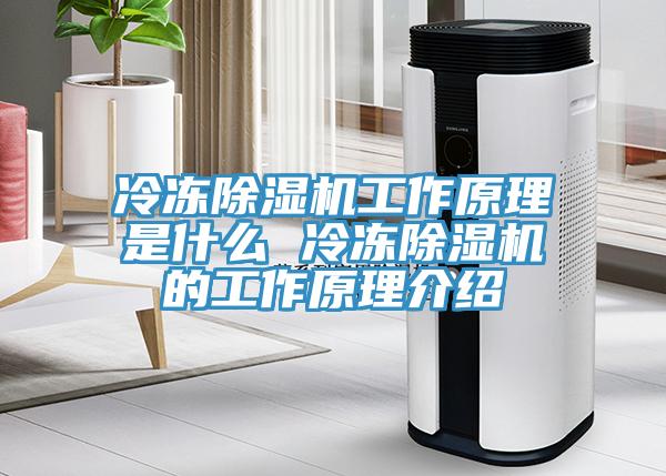 冷凍除濕機(jī)工作原理是什么 冷凍除濕機(jī)的工作原理介紹
