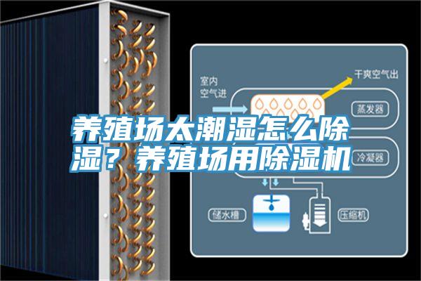 養(yǎng)殖場太潮濕怎么除濕？養(yǎng)殖場用除濕機(jī)