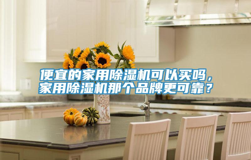 便宜的家用除濕機可以買嗎，家用除濕機那個品牌更可靠？