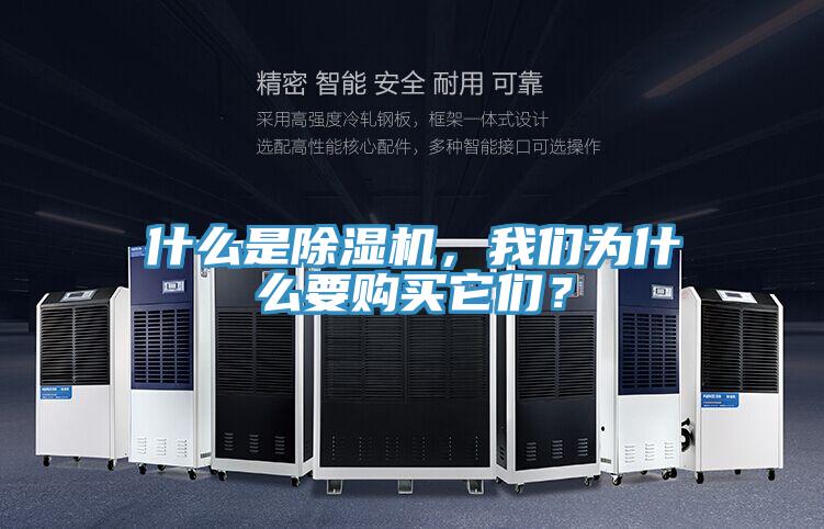 什么是除濕機(jī)，我們?yōu)槭裁匆徺I它們？
