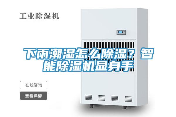 下雨潮濕怎么除濕？智能除濕機(jī)顯身手