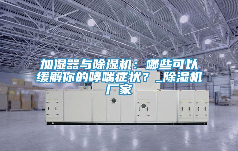 加濕器與除濕機：哪些可以緩解你的哮喘癥狀？_除濕機廠家