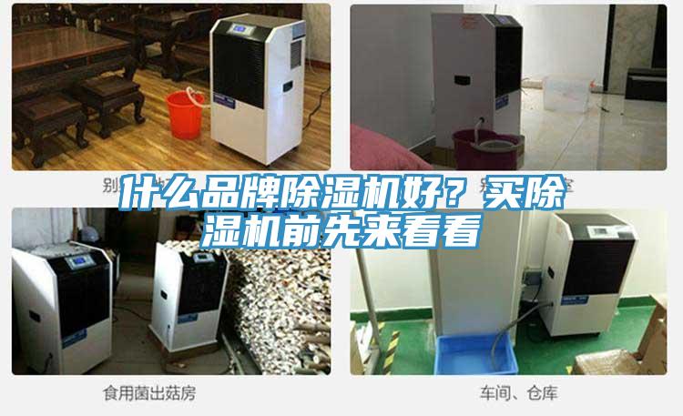 什么品牌除濕機好？買除濕機前先來看看