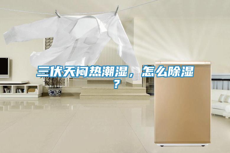 三伏天悶熱潮濕，怎么除濕？