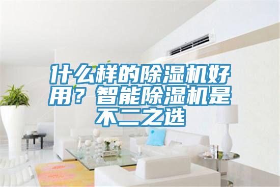 什么樣的除濕機(jī)好用？智能除濕機(jī)是不二之選