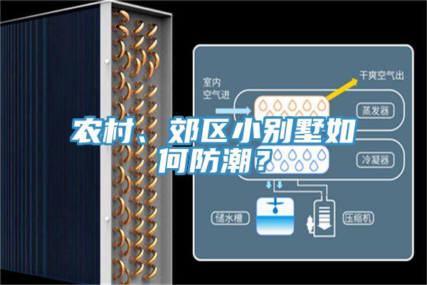農村、郊區(qū)小別墅如何防潮？