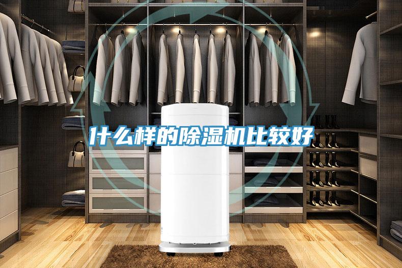 什么樣的除濕機(jī)比較好