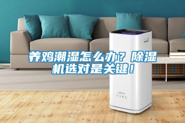 養(yǎng)雞潮濕怎么辦？除濕機(jī)選對是關(guān)鍵！