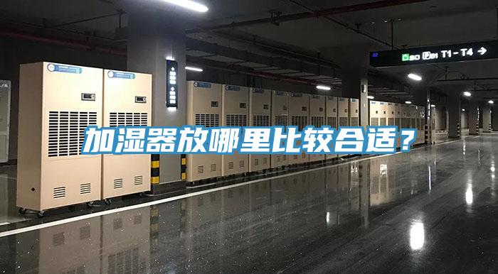 加濕器放哪里比較合適？