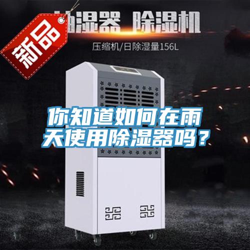 你知道如何在雨天使用除濕器嗎？