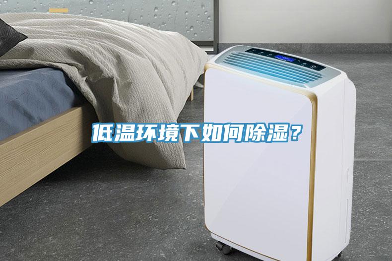低溫環(huán)境下如何除濕？