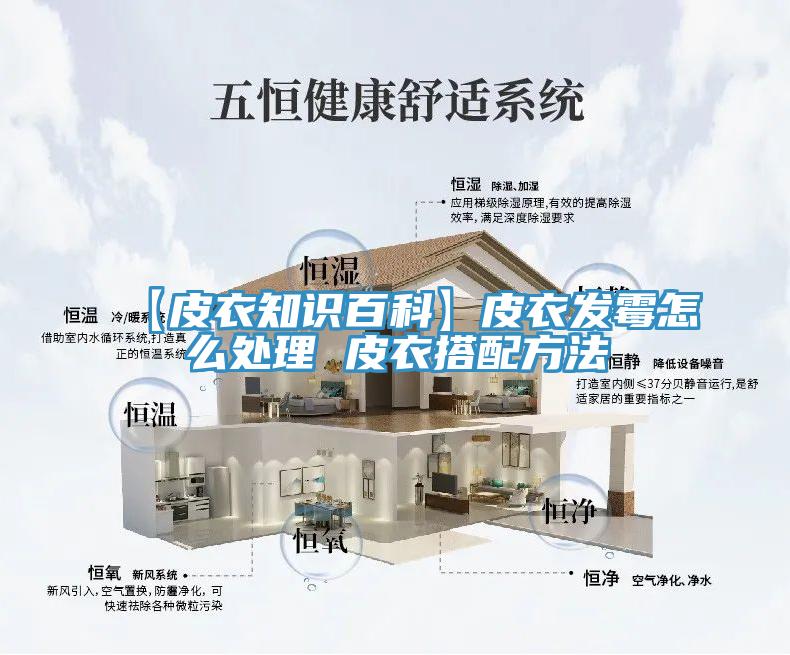 【皮衣知識百科】皮衣發(fā)霉怎么處理 皮衣搭配方法