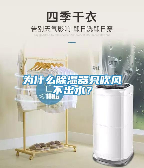 為什么除濕器只吹風(fēng)不出水？