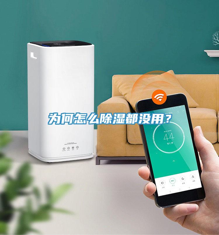 為何怎么除濕都沒用？