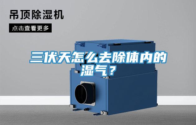 三伏天怎么去除體內的濕氣？