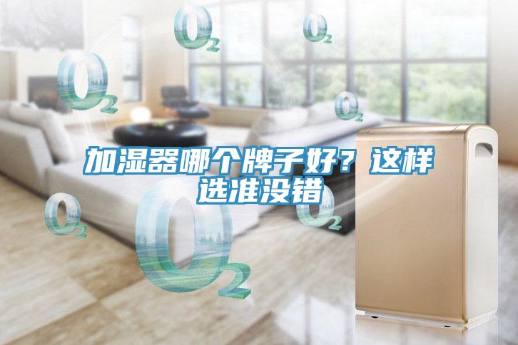 加濕器哪個牌子好？這樣選準(zhǔn)沒錯