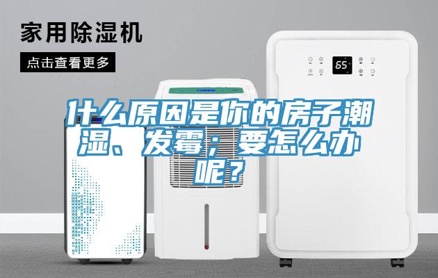 什么原因是你的房子潮濕、發(fā)霉；要怎么辦呢？