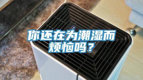 你還在為潮濕而煩惱嗎？