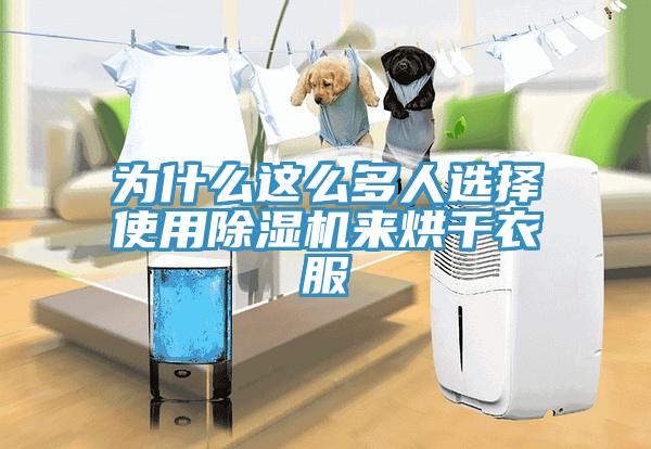 為什么這么多人選擇使用除濕機(jī)來(lái)烘干衣服