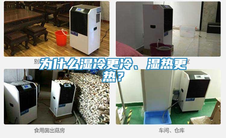 為什么濕冷更冷、濕熱更熱？
