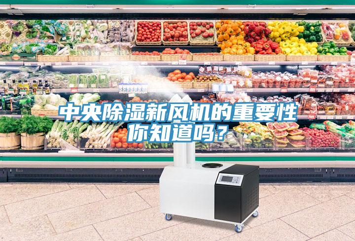 中央除濕新風(fēng)機的重要性你知道嗎？
