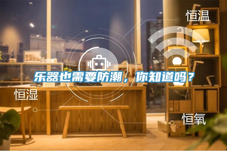 樂器也需要防潮，你知道嗎？