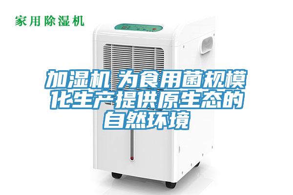 加濕機(jī)　為食用菌規(guī)?；a(chǎn)提供原生態(tài)的自然環(huán)境