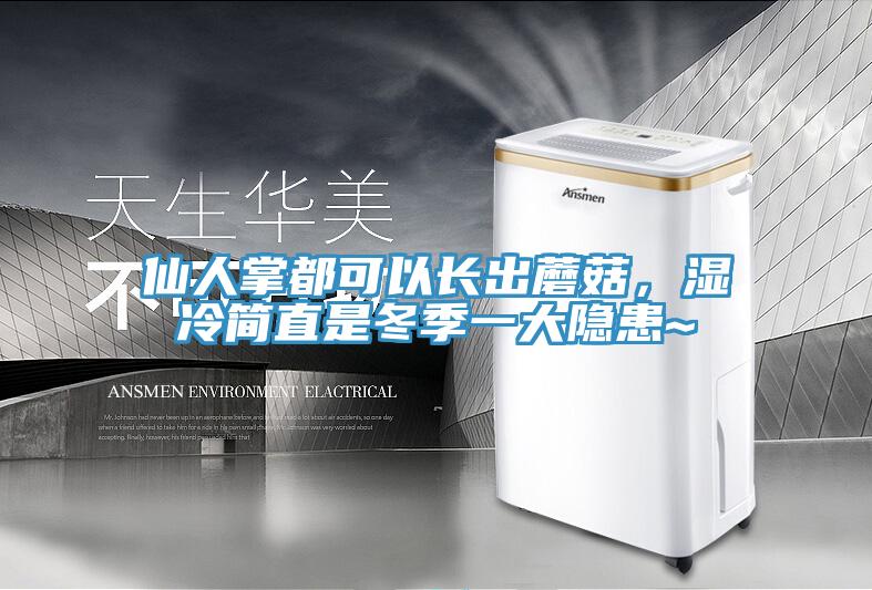仙人掌都可以長出蘑菇，濕冷簡直是冬季一大隱患~