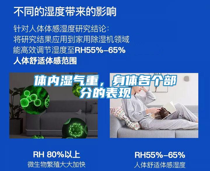 體內(nèi)濕氣重，身體各個(gè)部分的表現(xiàn)