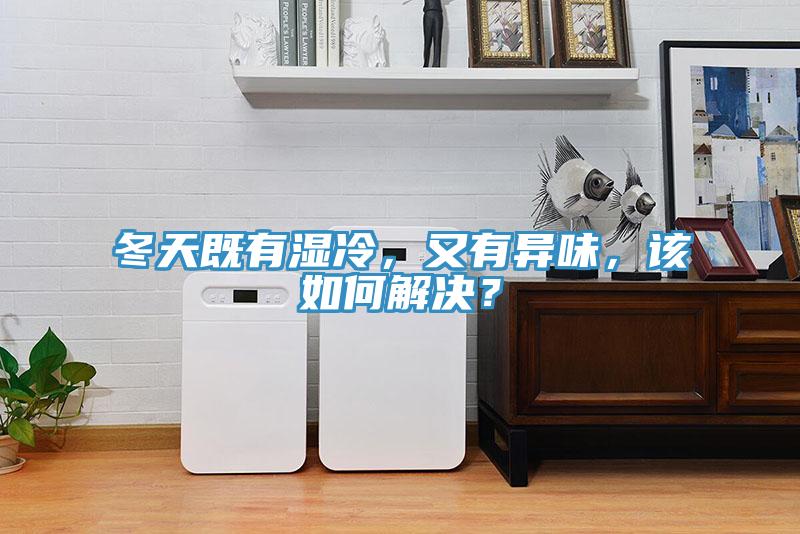 冬天既有濕冷，又有異味，該如何解決？