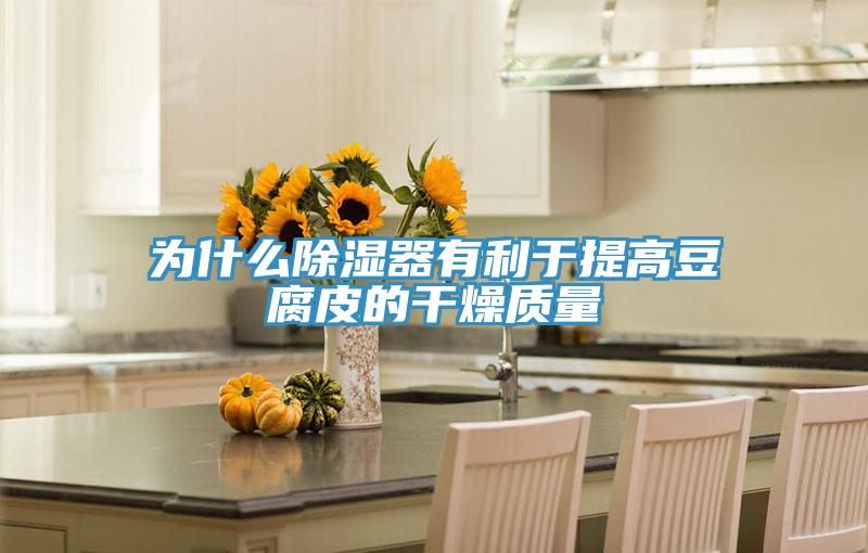 為什么除濕器有利于提高豆腐皮的干燥質(zhì)量