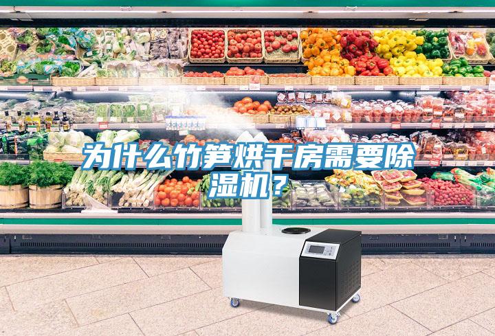 為什么竹筍烘干房需要除濕機(jī)？