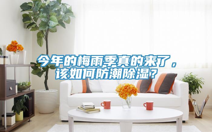 今年的梅雨季真的來了，該如何防潮除濕？