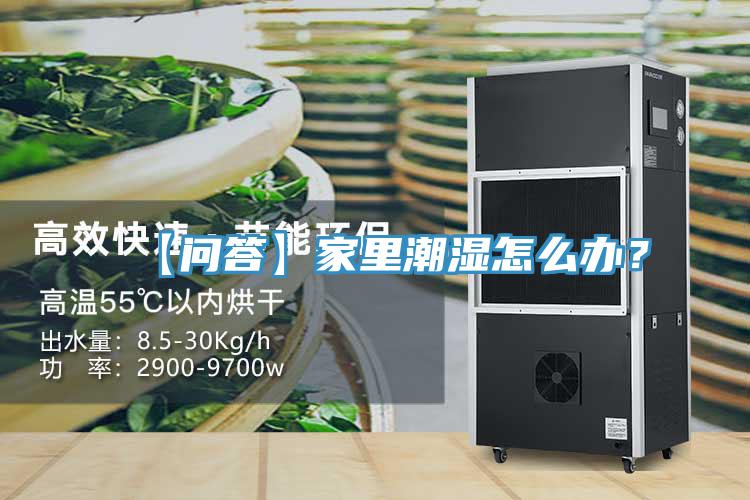 【問(wèn)答】家里潮濕怎么辦？