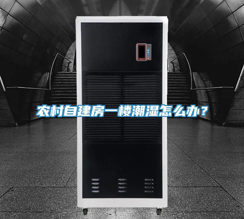 農村自建房一樓潮濕怎么辦？