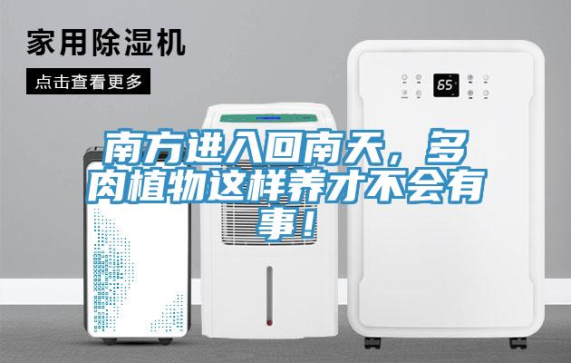 南方進(jìn)入回南天，多肉植物這樣養(yǎng)才不會有事！