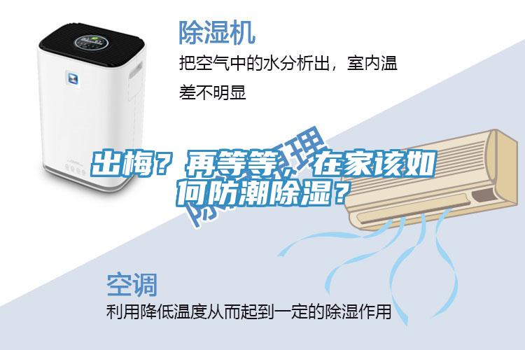 出梅？再等等，在家該如何防潮除濕？