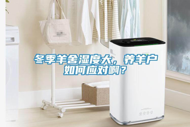 冬季羊舍濕度大，養(yǎng)羊戶如何應(yīng)對(duì)啊？