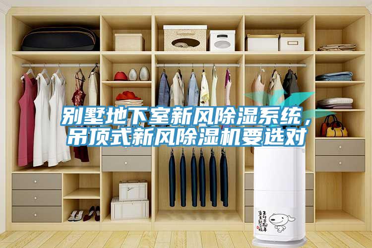 別墅地下室新風(fēng)除濕系統(tǒng)，吊頂式新風(fēng)除濕機(jī)要選對