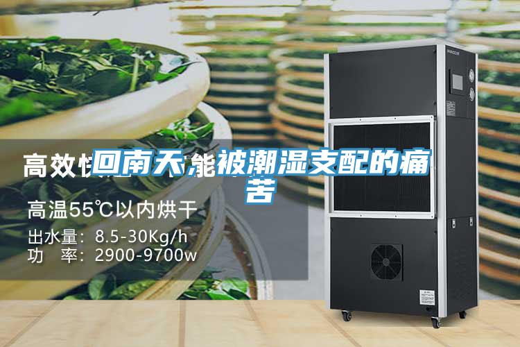回南天，被潮濕支配的痛苦