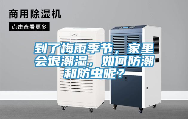 到了梅雨季節(jié)，家里會很潮濕，如何防潮和防蟲呢？