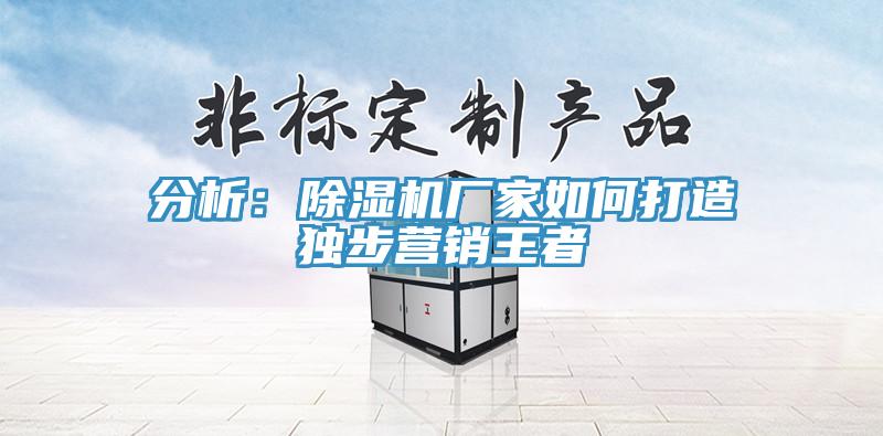 分析：除濕機(jī)廠家如何打造獨(dú)步營(yíng)銷王者